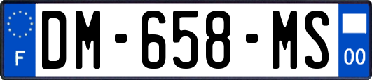 DM-658-MS