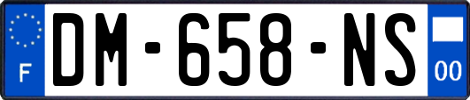 DM-658-NS