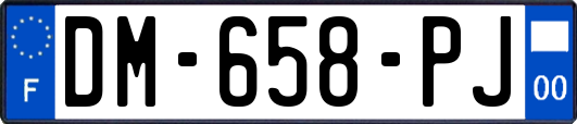 DM-658-PJ