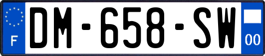 DM-658-SW