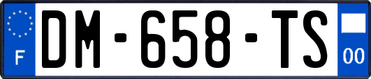DM-658-TS
