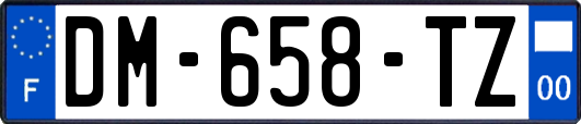DM-658-TZ