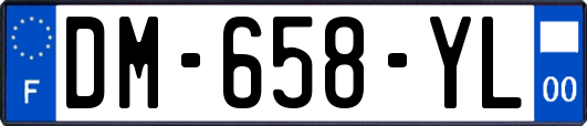 DM-658-YL