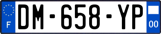 DM-658-YP