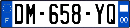 DM-658-YQ