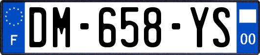 DM-658-YS