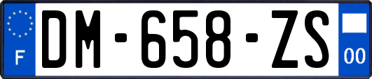DM-658-ZS