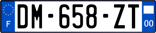 DM-658-ZT