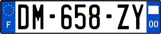 DM-658-ZY