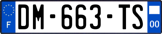 DM-663-TS