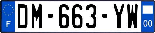 DM-663-YW