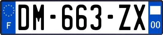 DM-663-ZX