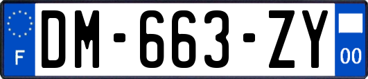 DM-663-ZY