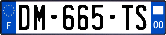 DM-665-TS