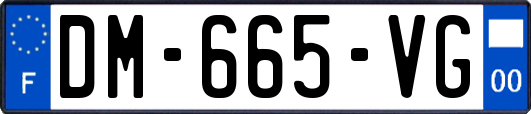 DM-665-VG