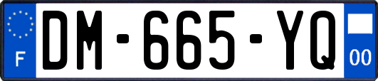 DM-665-YQ