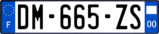 DM-665-ZS