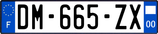 DM-665-ZX