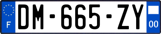 DM-665-ZY