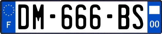 DM-666-BS