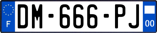 DM-666-PJ