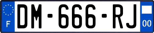 DM-666-RJ