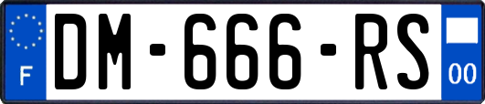 DM-666-RS