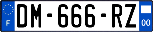 DM-666-RZ