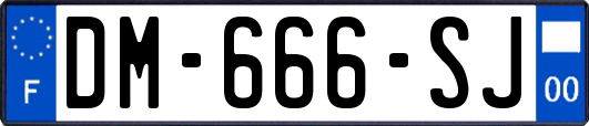 DM-666-SJ