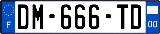 DM-666-TD