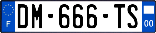DM-666-TS