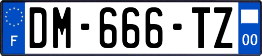 DM-666-TZ