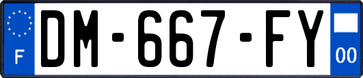 DM-667-FY