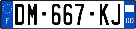 DM-667-KJ