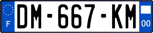 DM-667-KM