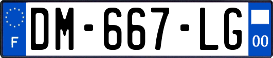 DM-667-LG