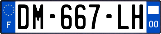 DM-667-LH
