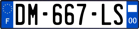 DM-667-LS