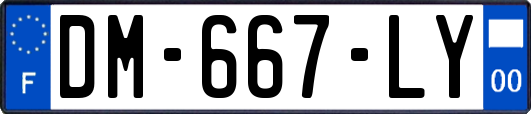 DM-667-LY