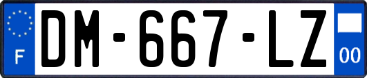 DM-667-LZ