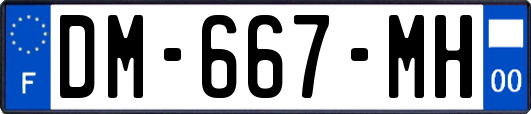 DM-667-MH