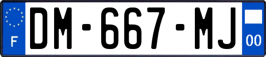 DM-667-MJ