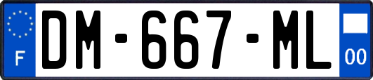 DM-667-ML
