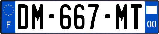 DM-667-MT