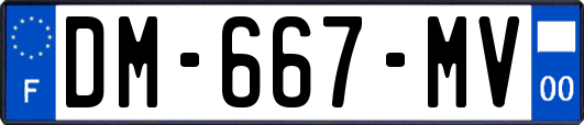 DM-667-MV