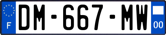 DM-667-MW