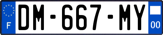 DM-667-MY