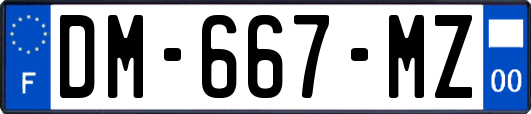 DM-667-MZ