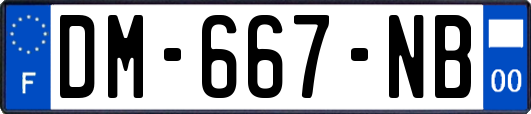 DM-667-NB