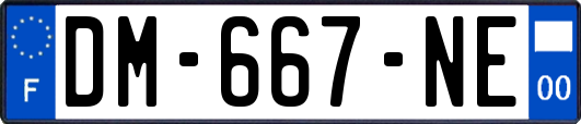 DM-667-NE